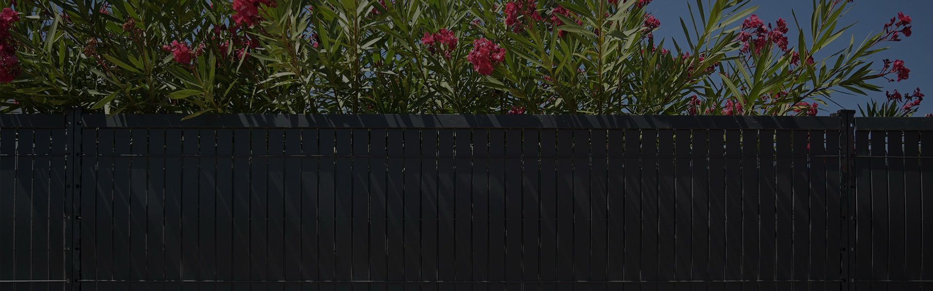 TOP 5 Occultation et Brise-vue